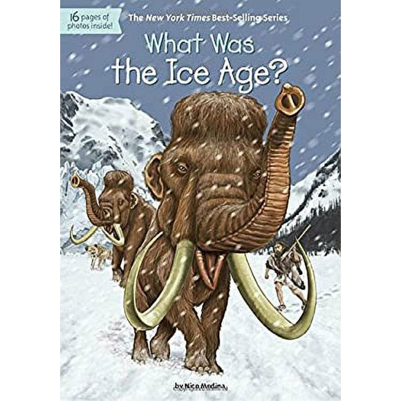 What Was the Ice Age? (Used Paperback) - Nico Medina