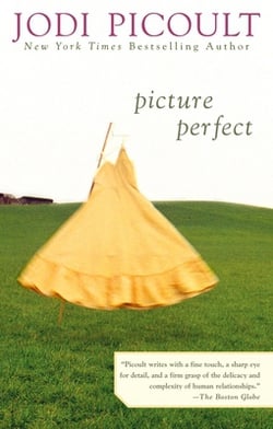 Picture Perfect (Used Paperback) - Jodi Picoult