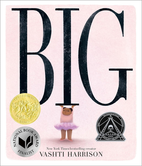 Big (Used Hardcover) - Vashti Harrison