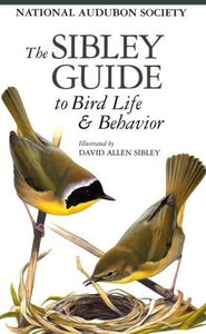 The Sibley Guide to Bird Life & Behavior (Used Hardcover) - David Allen Sibley
