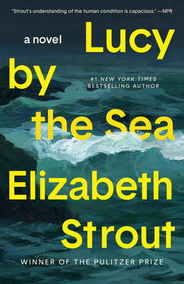 Lucy by the Sea (Used Paperback) - Elizabeth Strout