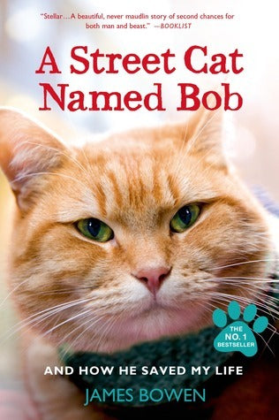 A Street Cat Named Bob (Used Paperback) - James Bowen