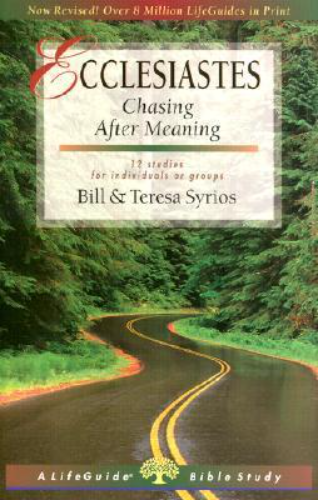 Ecclesiastes: Chasing After Meaning (Used Paperback) - Bill Syrios