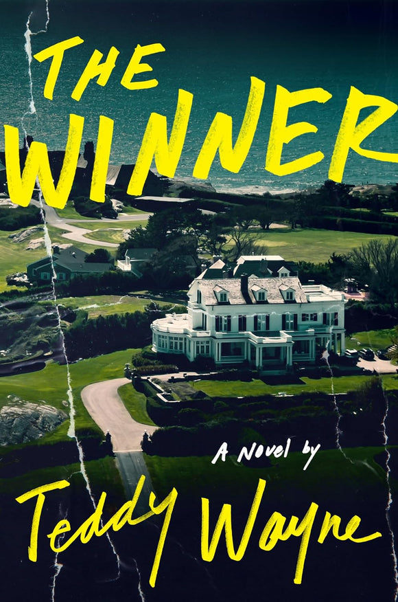 The Winner (Used Hardcover) - Teddy Wayne