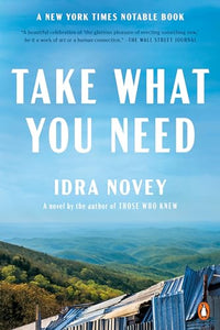Take What You Need (Used Paperback) - Idra Novey
