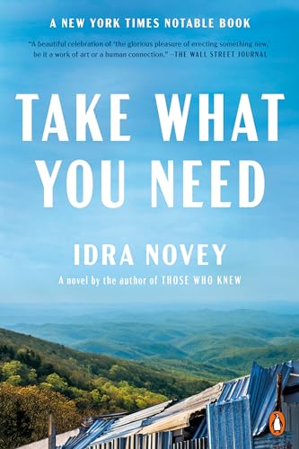Take What You Need (Used Paperback) - Idra Novey
