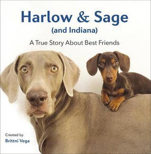 Harlow & Sage (and Indiana): A True Story About Best Friends (Used Hardcover) - Brittni Vega