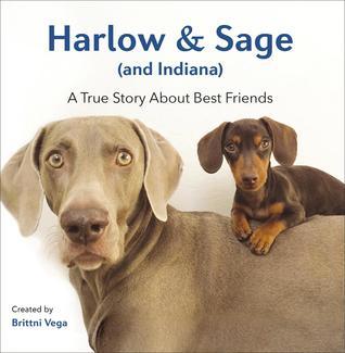 Harlow & Sage (and Indiana): A True Story About Best Friends (Used Hardcover) - Brittni Vega