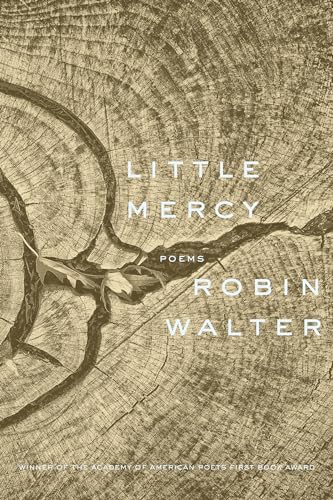 Little Mercy : Poems (Used Paperback) - Robin Walter