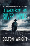 Cam Marshall Mysteries 4-Book Bundle (Used Paperbacks) - Delton Wright
