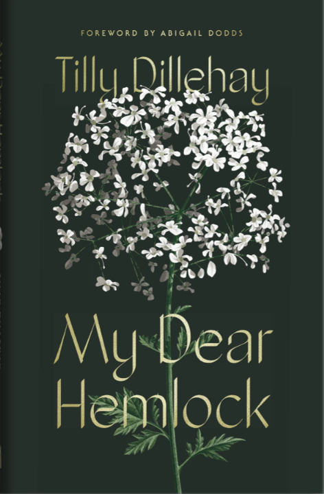 My Dear Hemlock (Used Hardcover) - Tilly Dillehay