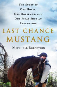 Last Chance Mustang (Used Paperback) - Mitchell Bornstein