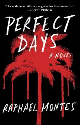 Perfect Days (Used Paperback) - Raphael Montes