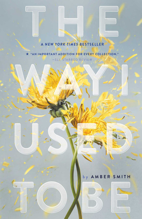 The Way I Used to Be (Used Paperback) - Amber Smith