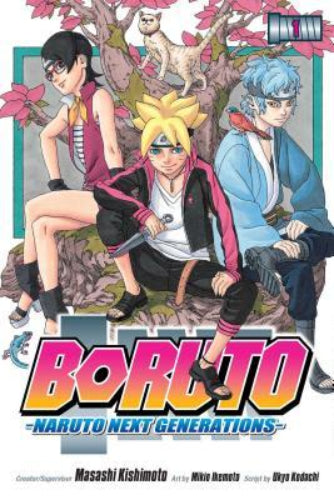 Boruto 13-Book Bundle (Used Paperbacks) - Masashi Kishimoto, Mikio Ikemoto (Art), Ukyo Kodachi (Script)