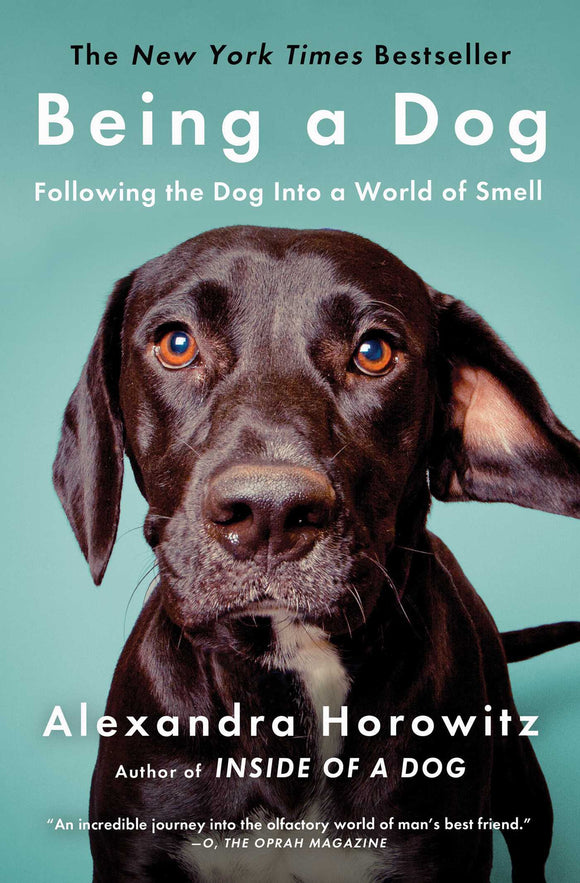 Being a Dog (Used Paperback) - Alexander Horowitz