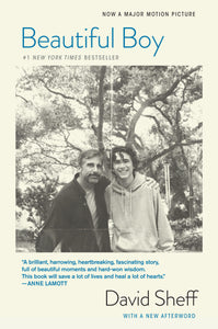 Beautiful Boy (Used Paperback) - David Sheff