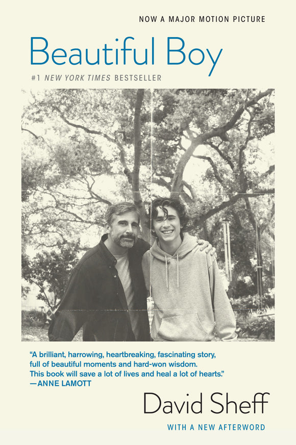 Beautiful Boy (Used Paperback) - David Sheff