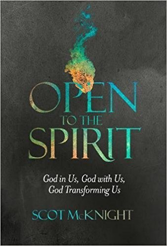 Open to the Spirit: God in Us, God with Us, God Transforming Us (Used Book) - Scot McKnight