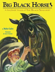 Big Black Horse (Used Hardcover) - Walter Farley