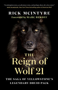 The Reign of Wolf 21 - The Saga of Yellowstone's Legendary Druid Pack (used hardcover) - Rick Mcintyre