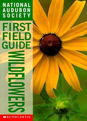 First Field Guide Wildflowers (Used Paperback) - National Audobon Society