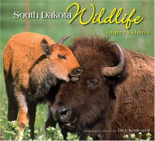 South Dakota Wildlife Impressions (Used Paperback) - Dick Kettlewell