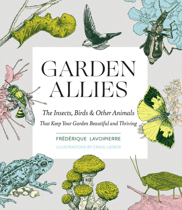 Garden Allies: The Insects, Birds, and Other Animals That Keep Your Garden Beautiful and Thriving (Used Paperback) - Frédérique Lavoipierre
