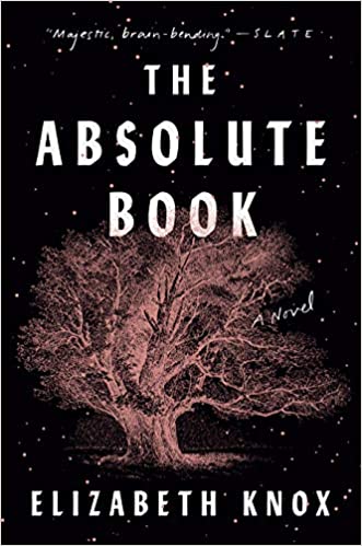 The Absolute Book (Used Hardcover) - Elizabeth Knox