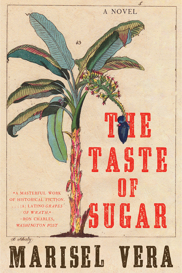 The Taste of Sugar (Used Paperback) - Marisel Vera