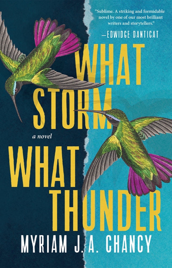 What Storm, What Thunder (Used Hardcover) - Myriam J. A. Chancy