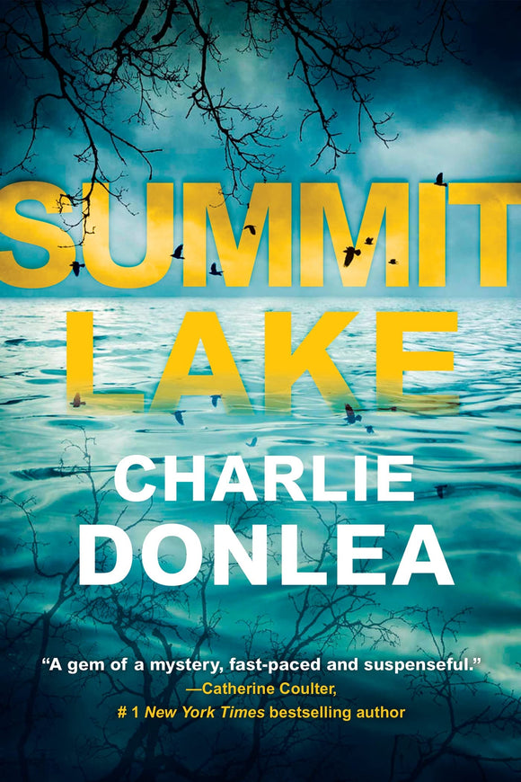 Summit Lake (Used Paperback) - Charlie Donlea