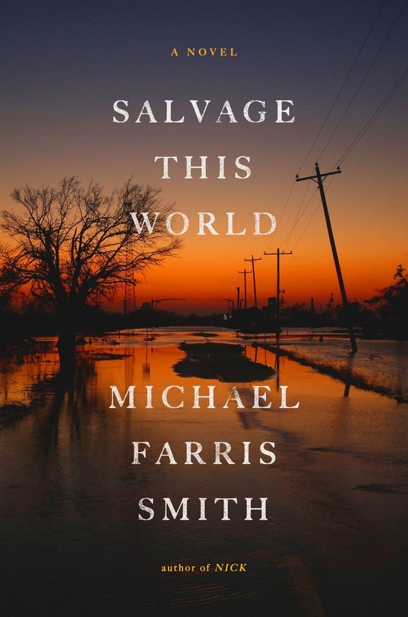 Salvage This World (Used Hardcover) - Michael Farris Smith