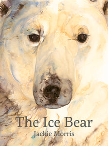 The Ice Bear (Used Hardcover) - Jackie Morris