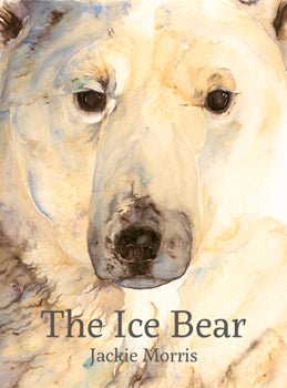 The Ice Bear (Used Hardcover) - Jackie Morris