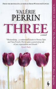 Three (Used Paperback) - Valerie Perrin