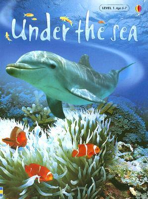 Under the Sea (Used Hardcover) - Fiona Patchett