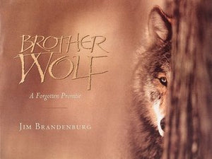 Brother Wolf (Used Hardcover) - Jim Brandenburg