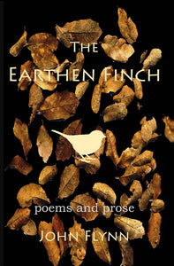 The Earthen Finch (Used Paperback) - John Flynn