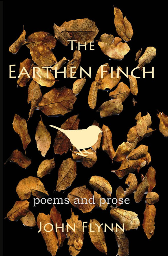 The Earthen Finch (Used Paperback) - John Flynn