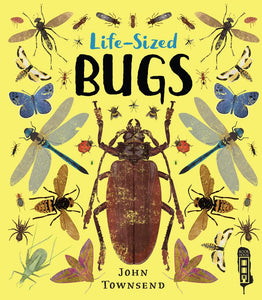 Life-Sized Bugs (Used Hardcover) - John Townsend