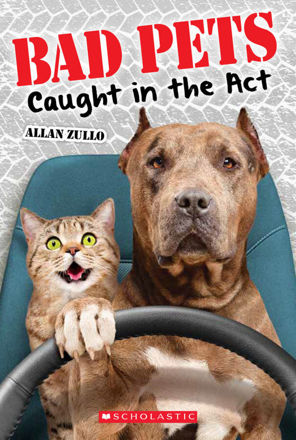 Bad Pets Caught in the Act (Used Paperback) - Allan Zullo