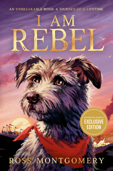 I Am Rebel (Used Paperback) - Ross Montgomery