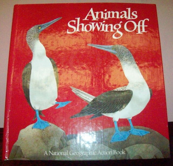 Animals Showing Off: A Pop-Up Book (Used Hardcover) - National Geographic