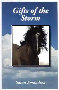 Gifts of the Storm (Used Paperback) - Susan Amundson