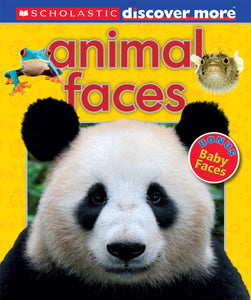 Scholastic Discover More Animal Faces (Used Hardcover) -  Penelope Arlon and Tory Gordon-Harris