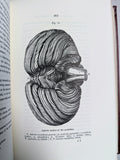 Descriptive and Physiological Anatomy of the Brain (Used Hardcover) - Robert Bentley Todd (1987)