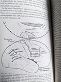Speech and Brain Mechanisms (Used Hardcover) - Wilder Penfield & Lamar Roberts (1981)