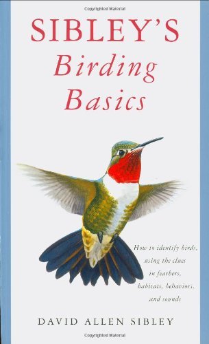 Sibley's Birding Basics (Used Paperback) - David Allen Sibley