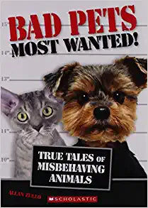 Bad Pets Most Wanted! (Used Paperback) - Allan Zullo